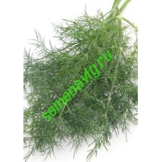 Укроп Алмаз, 1 кг,  GAVRISH (Россия)