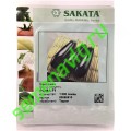 Рома F1, 1000 семян, Sakata (Япония)