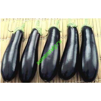 Рома F1, 1000 семян, Sakata (Япония) Рома F1, 1000 семян, Sakata (Япония)