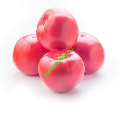 Мей Шуай F1, 250 семян Seminis (Голландия) Мей Шуай F1, 250 семян Seminis (Голландия)