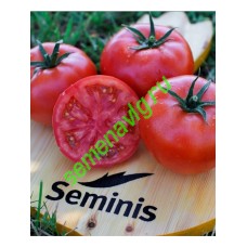 Мей Шуай F1, 250 семян Seminis (Голландия) Мей Шуай F1, 250 семян Seminis (Голландия)