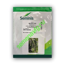 Мадрилене F1, 250 семян, Seminis (Голландия)