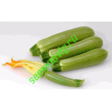 Суха F1, 1000 семян, Sakata (Япония)