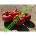 Пинк Хит F1/ Эрай F1 (500 шт) Yuksel Seeds (Турция)