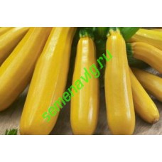 Ясмин F1, 1000 семян, Sakata (Япония)