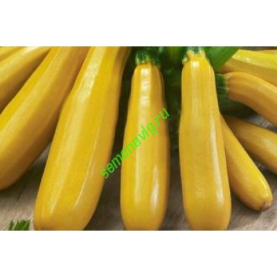 Ясмин F1, 1000 семян, Sakata (Япония) Ясмин F1, 1000 семян, Sakata (Япония)