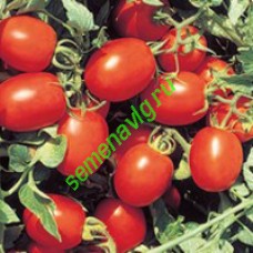 Перфектпил F1 1000с , Seminis (Голландия)