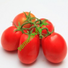 Монти F1, Seminis (Голландия)