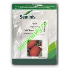 Яки F1, 1000 семян Seminis (Голландия)