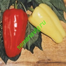 Джипси F1, Seminis (Голландия)