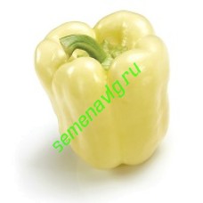 Беладонна F1 1000 семян, Seminis (Голландия)