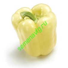 Беладонна F1 1000 семян, Seminis (Голландия)