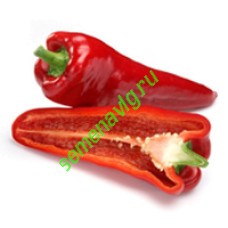 Каптур F1, Seminis (Голландия)
