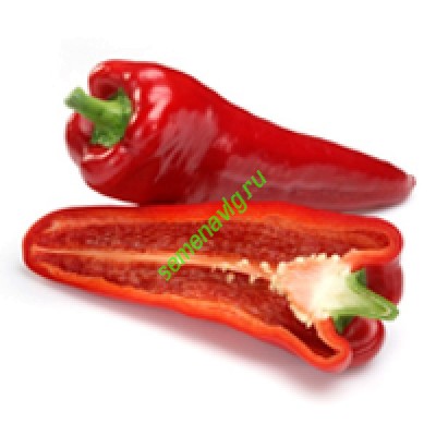 Каптур F1, Seminis (Голландия)