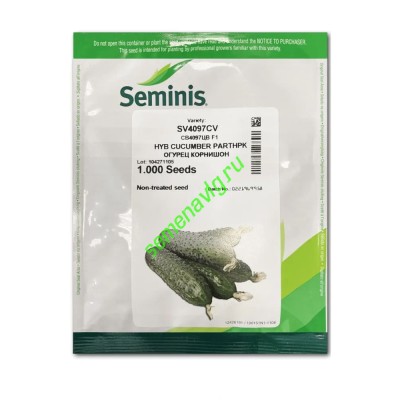 СВ 4097/SV4097 F1, 1000 семян, Seminis (Голландия) СВ 4097/SV4097 F1, 1000 семян, Seminis (Голландия)