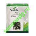 Маша F1, Seminis (Голландия) Маша F1, Seminis (Голландия)