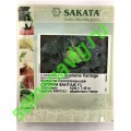 Суприм Вантаж F1, 2500 семян, Sakata (Япония)