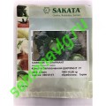 Шармант F1, 2500 семян, Sakata (Япония)