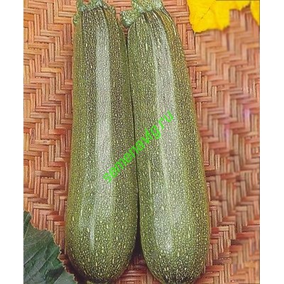 Диамант F1, 500 семян, Seminis (Голландия)