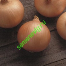 Кэнди F1, 250 000 семян, Seminis (Голландия) Кэнди F1, 250 000 семян, Seminis (Голландия)