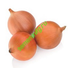 Миссисипи F1, 250 000 семян, Seminis (Голландия)