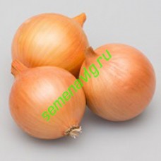 Варес F1, 250 000 семян, Seminis (Голландия)