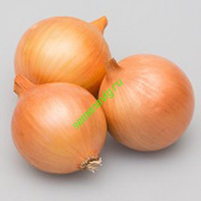 Варес F1, 250 000 семян, Seminis (Голландия)