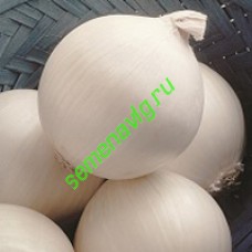 Стерлинг F1, 250 000 семян, Seminis (Голландия)