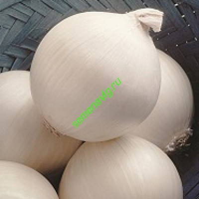 Стерлинг F1, 250 000 семян, Seminis (Голландия)