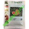 Скиф F1, 1000 семян, Sakata (Япония)