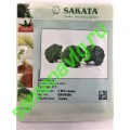 Тритон F1, 2500 семян, Sakata (Япония)