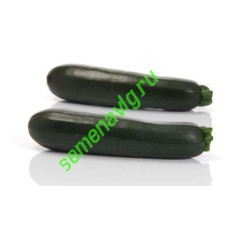 Комо F1, 1000 семян, Sakata (Япония)