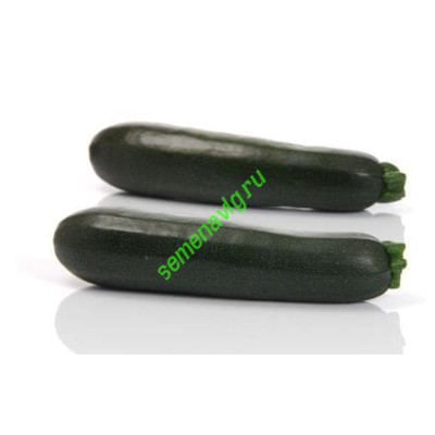 Комо F1, 1000 семян, Sakata (Япония)