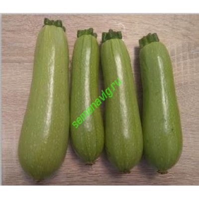 Байкал F1, 1000 семян, Sakata (Япония)