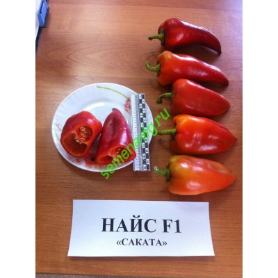 Найс F1, 500 семян, Sakata (Япония)