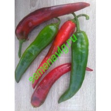 Блейд F1, 500 семян, Sakata (Япония)