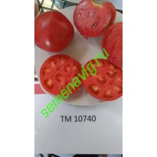 ТМ 10740 F1, 500 семян, Sakata (Япония) ТМ 10740 F1, 500 семян, Sakata (Япония)
