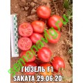 Гюзель F1, 1000 семян, Sakata (Япония)