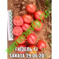 Гюзель F1, 1000 семян, Sakata (Япония)