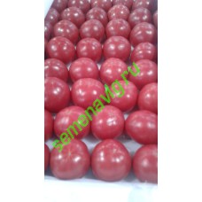 Пинк Профит F1, 500 семян, Sakata (Япония) Пинк Профит F1, 500 семян, Sakata (Япония)