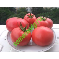 Пинк Спарк F1, 500 семян, Sakata (Япония)