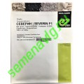 Северин F1, 1000 семян, ENZA ZADEN (Голландия)