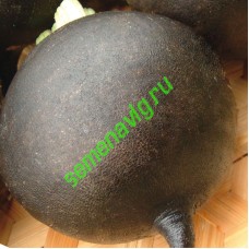 Карбон F1, 1 кг,  GAVRISH (Россия)