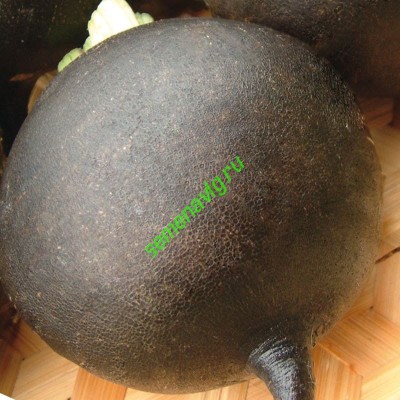 Карбон F1, 1 кг,  GAVRISH (Россия)