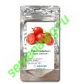 Гюзель F1, 100 семян, Sakata (Япония) Гюзель F1, 100 семян, Sakata (Япония)