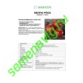 Белла Роса F1, 100 семян, Sakata (Япония) Белла Роса F1, 100 семян, Sakata (Япония)