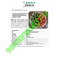 Сонора F1, 50 семян, Sakata (Япония) Сонора F1, 50 семян, Sakata (Япония)