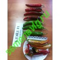 Блейд F1, 50 семян, Sakata (Япония) Блейд F1, 50 семян, Sakata (Япония)