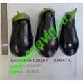 Навал F1, 50 семян, Sakata (Япония)