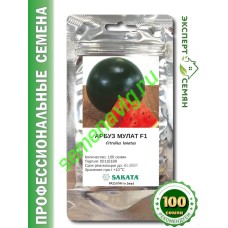 Мулат F1, 100 семян, Sakata (Япония) Мулат F1, 100 семян, Sakata (Япония)